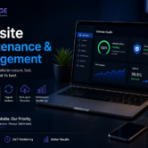 Website Maintenance & Management